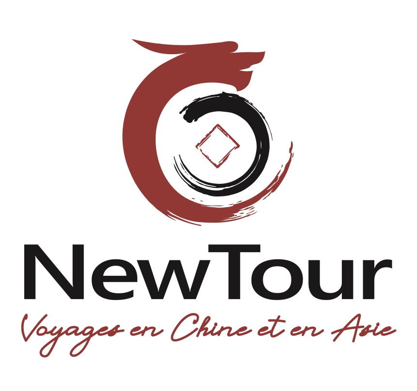 Logo NEW TOUR